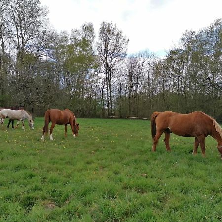 Gite En Creuse Moutier-Malcard Εξωτερικό φωτογραφία