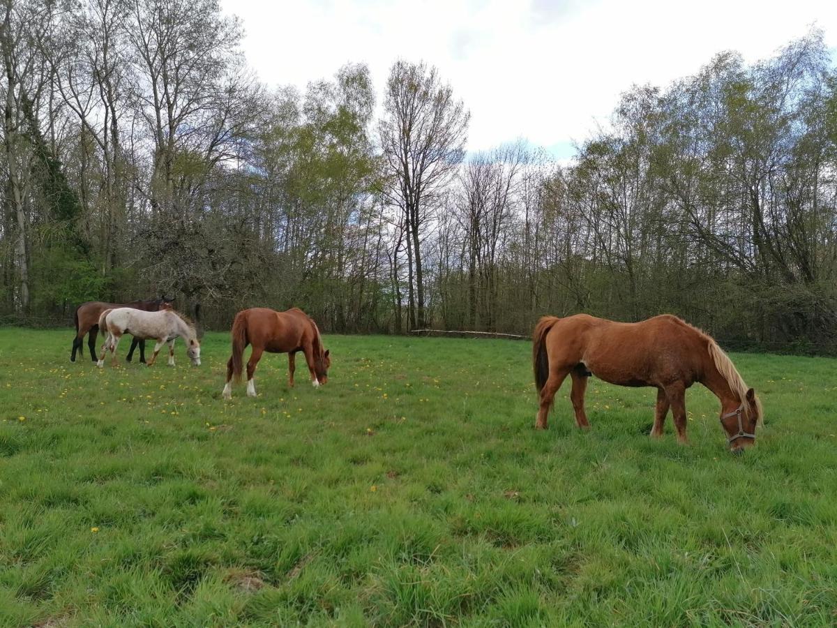 Gite En Creuse Moutier-Malcard Εξωτερικό φωτογραφία